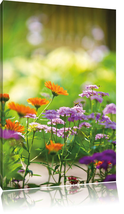 Pixxprint Blumenwiese, Leinwandbild