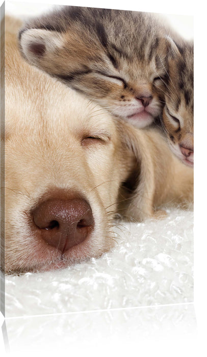 Pixxprint Kätzchen und Hund schmusend, Leinwandbild