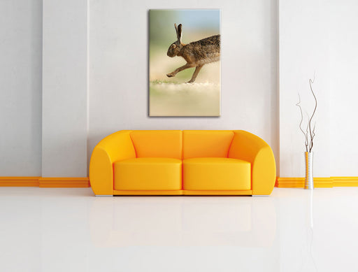 Hüpfender Hase Leinwandbild über Sofa