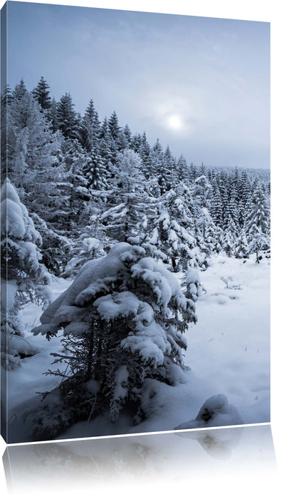 Pixxprint Winterlandschaft vereister See, Leinwandbild