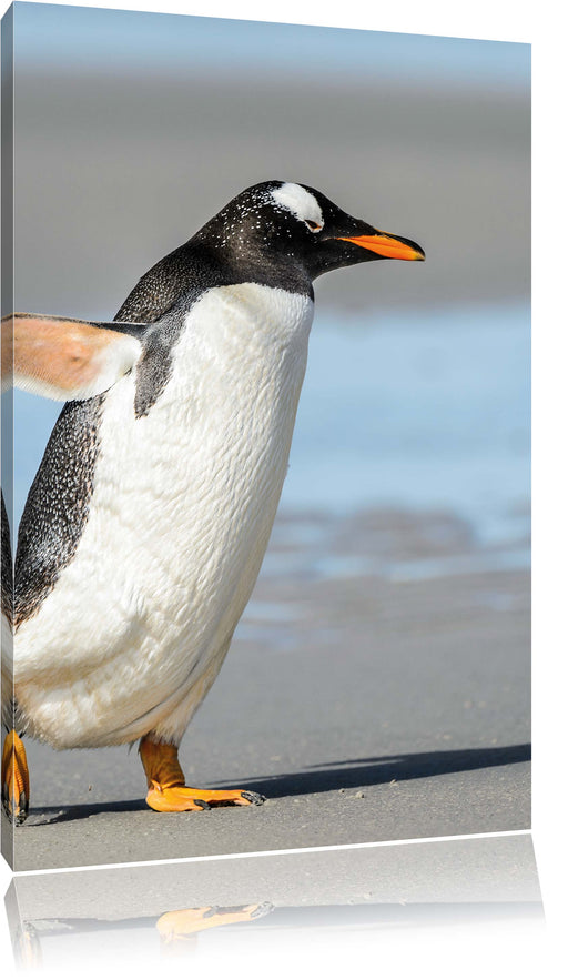 Pinguin am Strand Leinwandbild