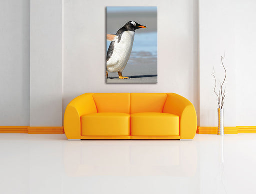 Pinguin am Strand Leinwandbild über Sofa