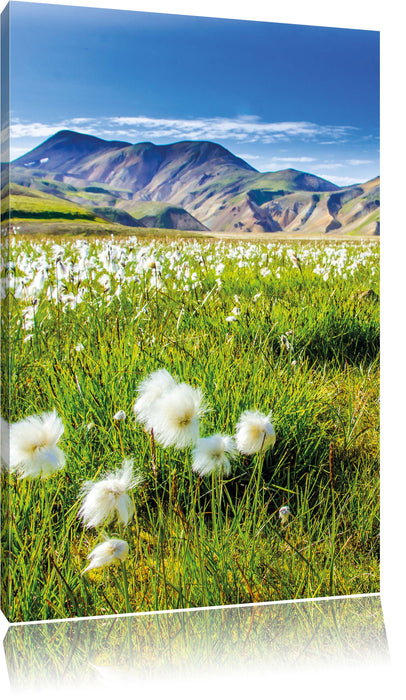 Alpenwiese Leinwandbild