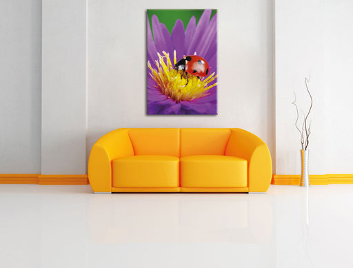 Marienkäfer auf Blume Leinwandbild über Sofa