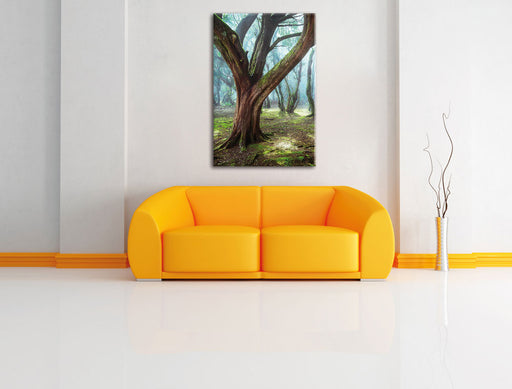 Wald Leinwandbild über Sofa