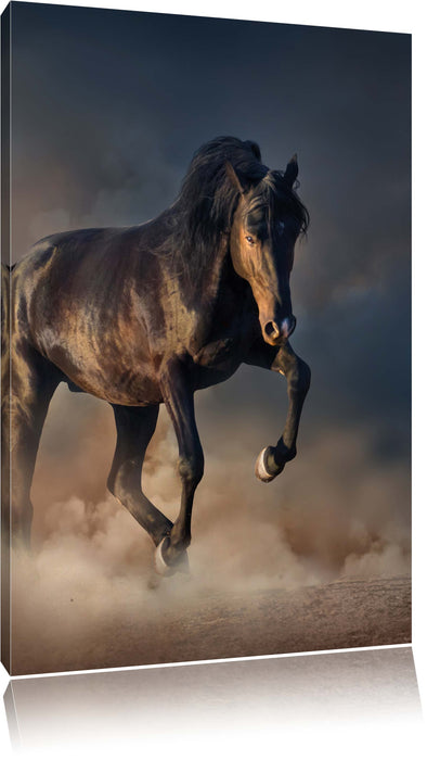 Pixxprint Schwarzes Pferd, Leinwandbild