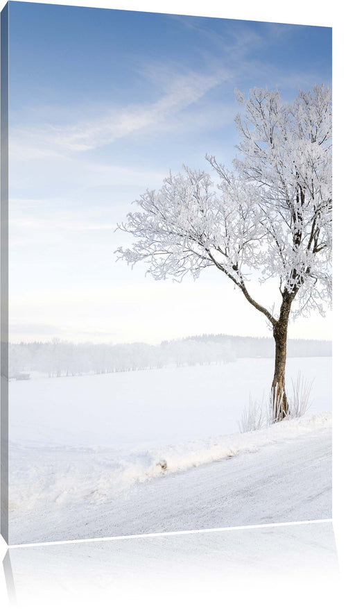 Baum im Schnee Leinwandbild
