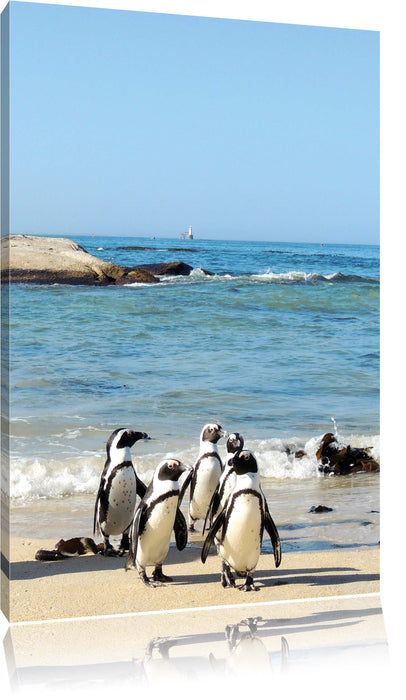Pixxprint Pinguine am Strand, Leinwandbild