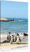 Pinguine am Strand Leinwandbild