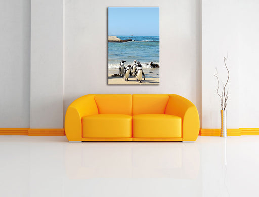 Pinguine am Strand Leinwandbild über Sofa