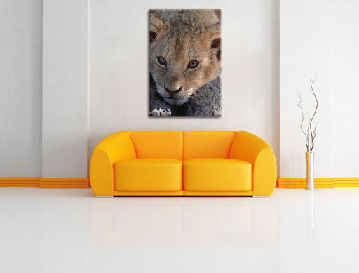 Süßes Tigerbaby Leinwandbild über Sofa