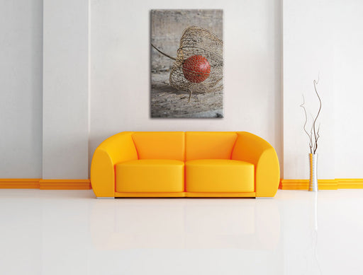 Physalis Leinwandbild über Sofa