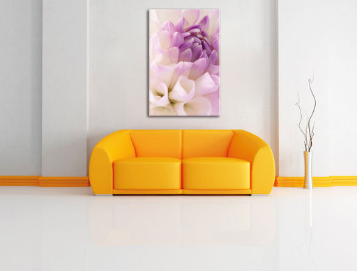 Traumhafte lila weiße Blüte Leinwandbild über Sofa