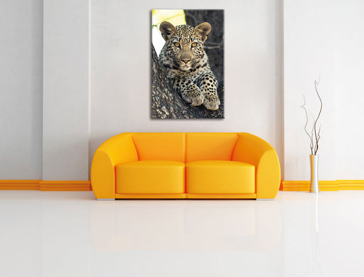 Leopardenbaby Leinwandbild über Sofa