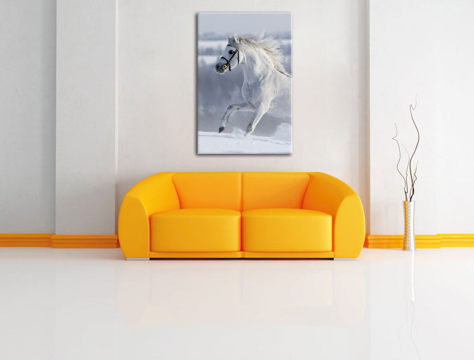 Weißes Pferd auf Schneewiese Leinwandbild über Sofa