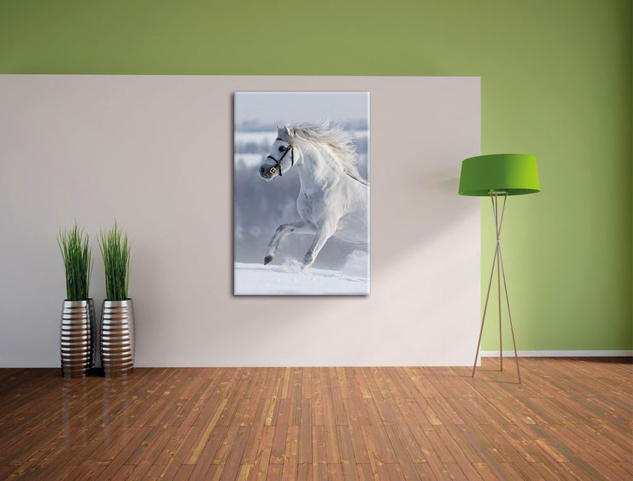 Weißes Pferd auf Schneewiese Leinwandbild im Flur
