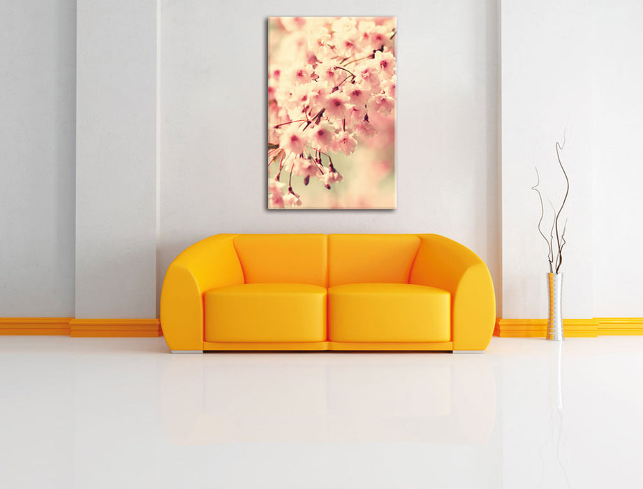 Kirschblüten Leinwandbild über Sofa