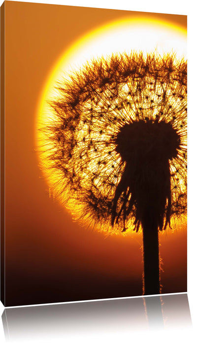 Pixxprint Pusteblume abends, Leinwandbild