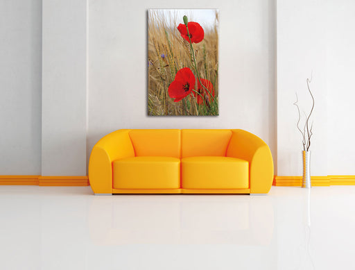 Mohnblumen im Getreidefeld Leinwandbild über Sofa