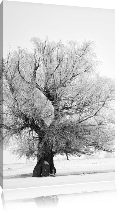 Pixxprint Bäume im Schnee Nebel, Leinwandbild
