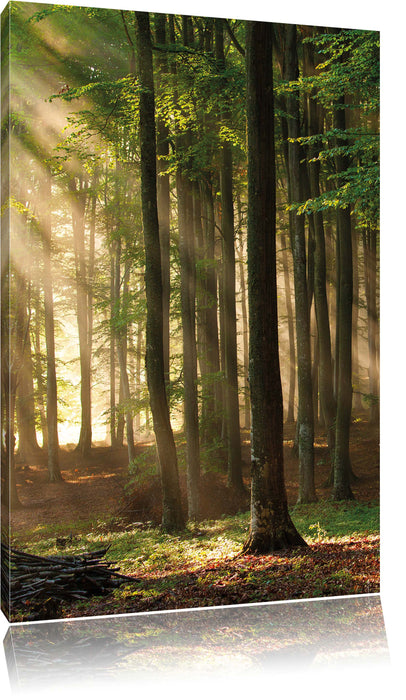 Pixxprint Bäume im, Leinwandbild