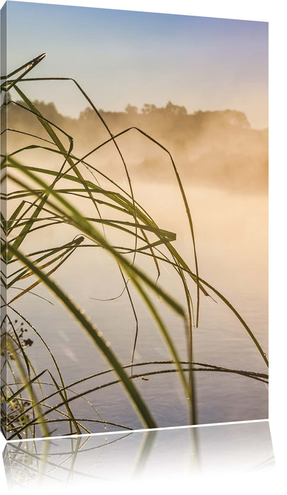 Pixxprint Schilf am See, Leinwandbild