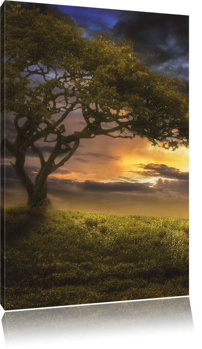 Pixxprint Einsamer Baum schwarz weiß, Leinwandbild