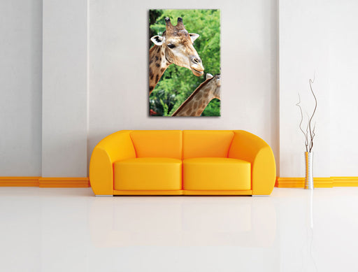 Giraffen Leinwandbild über Sofa