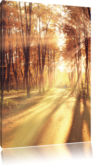 Pixxprint Baumallee im Herbst, Leinwandbild