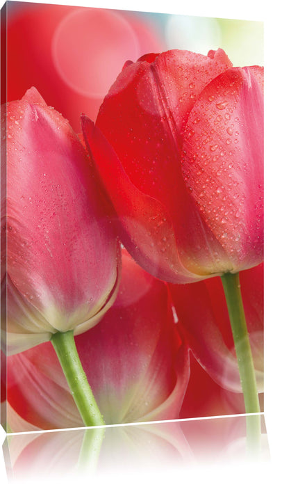 Pixxprint Rote Tulpen, Leinwandbild