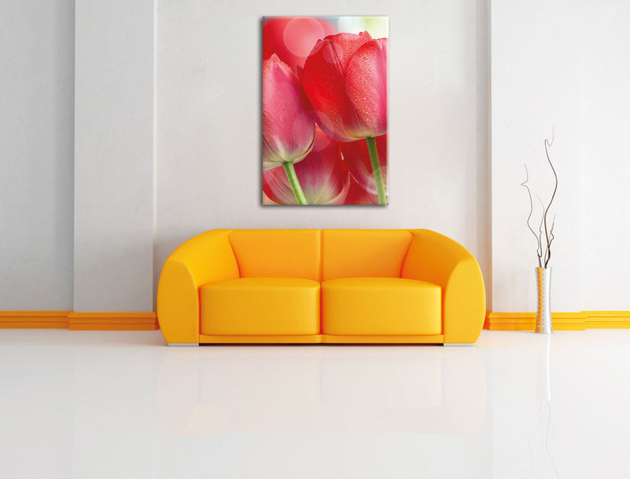 Rote Tulpen Leinwandbild über Sofa