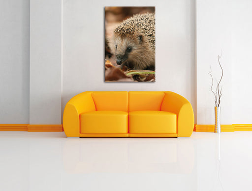 Kleiner Igel Leinwandbild über Sofa