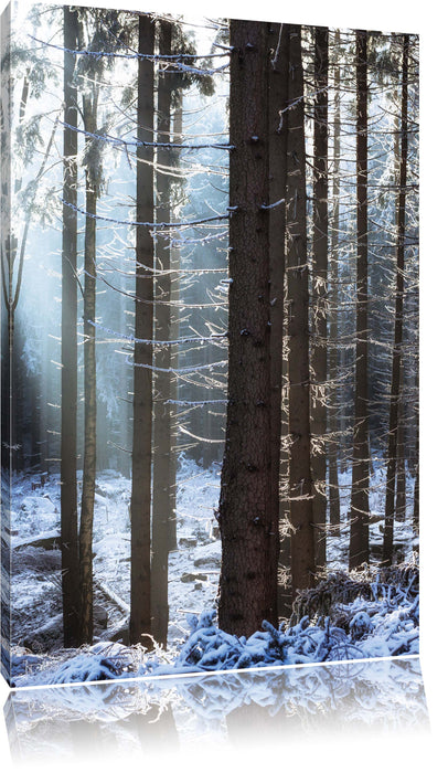 Pixxprint Winterwald, Leinwandbild