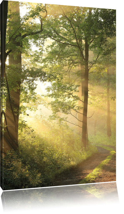 Pixxprint Waldweg, Leinwandbild