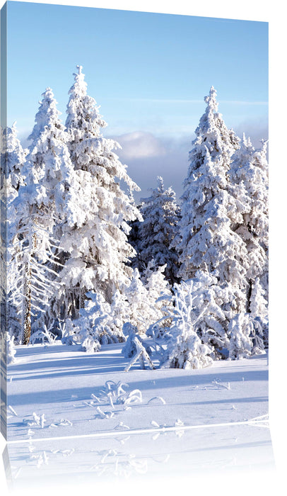 Pixxprint Winterwald, Leinwandbild