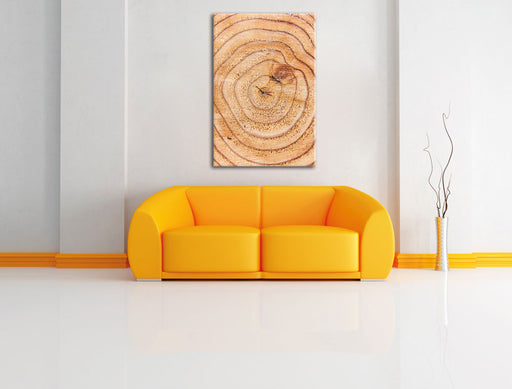 Baumringe Leinwandbild über Sofa