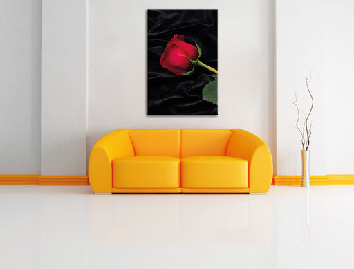 Rose Leinwandbild über Sofa