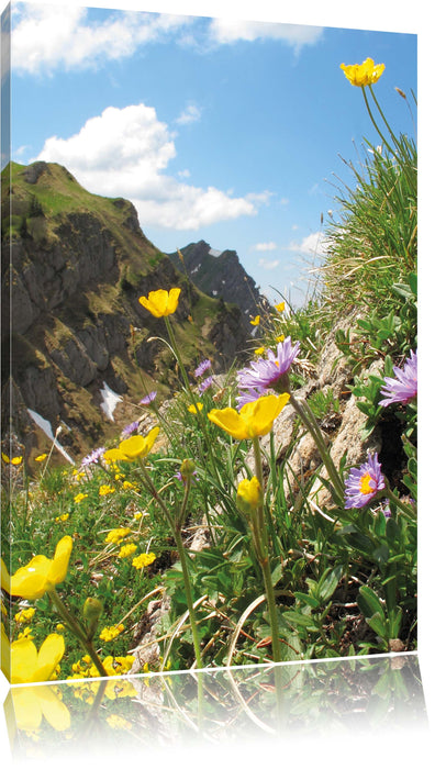 Pixxprint Blumenwiese im Frühling, Leinwandbild