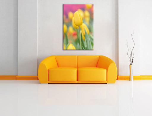 Gelbe Tulpen im Frühling Leinwandbild über Sofa