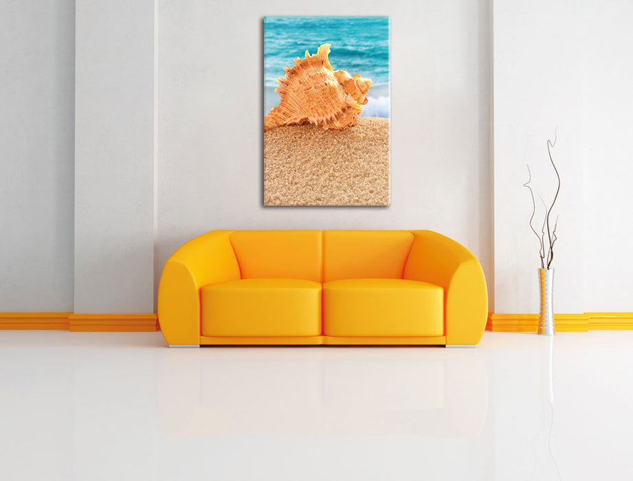 Pixxprint Muschel am Strand, Leinwandbild