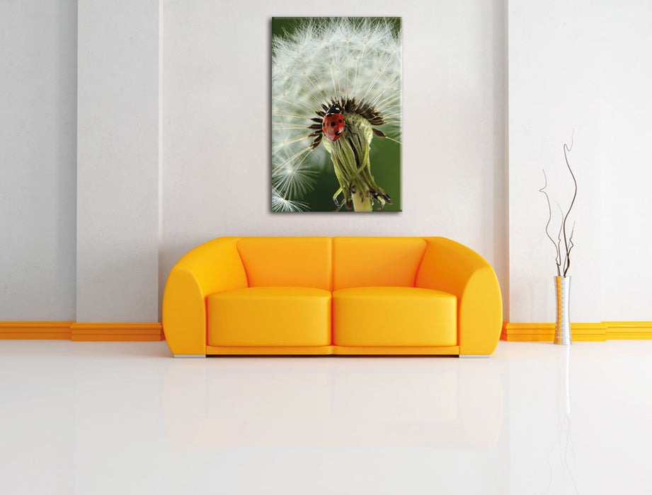 Marienkäfer auf Pusteblume Leinwandbild über Sofa