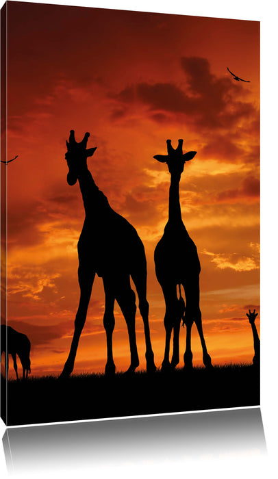 Pixxprint Afrika Giraffen im Sonnenuntergang, Leinwandbild