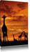 Afrika Giraffen im Sonnenuntergang Leinwandbild