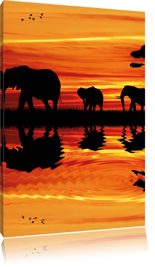 Afrika Elefant in Sonnenschein Leinwandbild