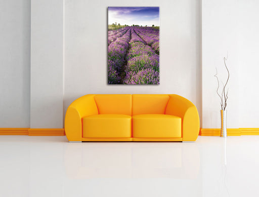 Lavendelfeld Provence Leinwandbild über Sofa