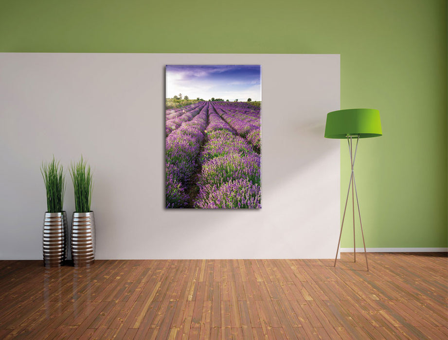 Lavendelfeld Provence Leinwandbild im Flur