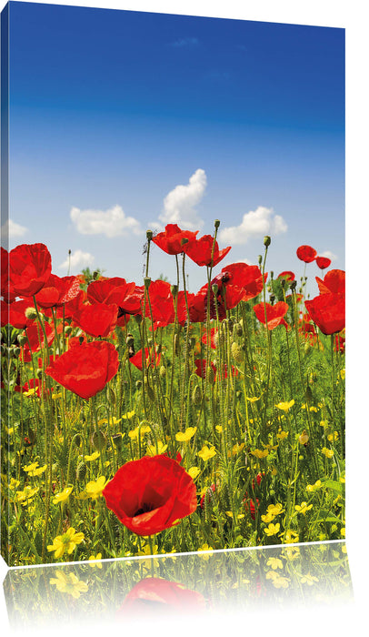 Pixxprint Mohnwiese, Leinwandbild
