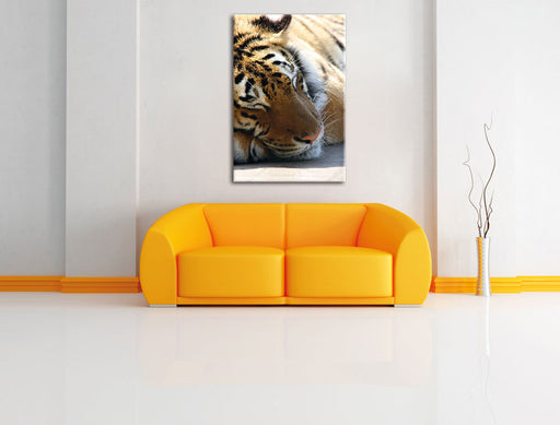 Tiger schläft Leinwandbild über Sofa