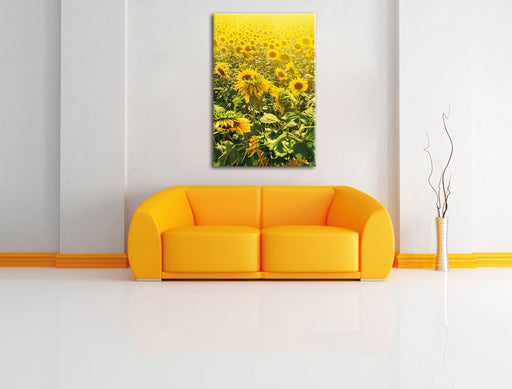 Sonnenblumenfeld Leinwandbild über Sofa