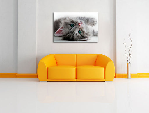 Süßes Katzenbaby Leinwandbild über Sofa
